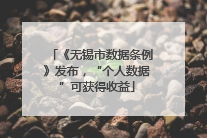 《无锡市数据条例》发布，“个人数据”可获得收益