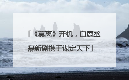 《莫离》开机，白鹿丞磊新剧携手谋定天下