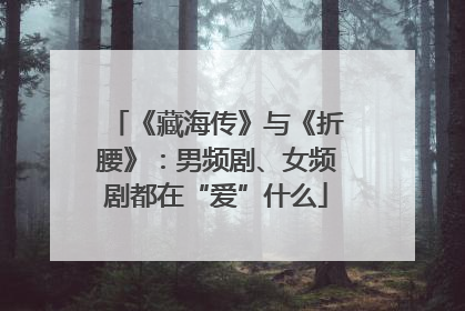 《藏海传》与《折腰》：男频剧、女频剧都在“爱”什么