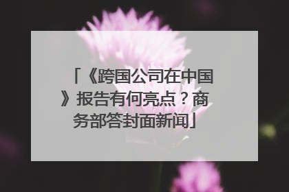 《跨国公司在中国》报告有何亮点？商务部答封面新闻