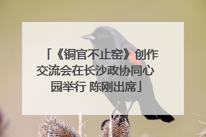 《铜官不止窑》创作交流会在长沙政协同心园举行 陈刚出席
