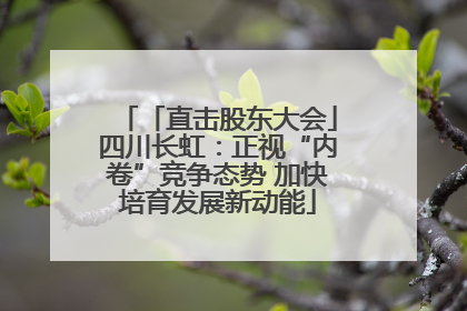 「直击股东大会」四川长虹：正视“内卷”竞争态势 加快培育发展新动能