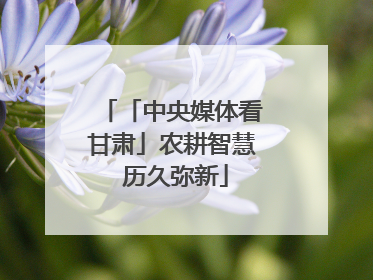「中央媒体看甘肃」农耕智慧 历久弥新