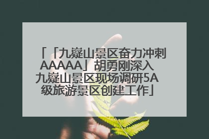 「九嶷山景区奋力冲刺AAAAA」胡勇刚深入九嶷山景区现场调研5A级旅游景区创建工作