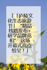 「庐陵文化生态旅游节」“精品线路发布+研学品牌亮相” 这场开幕式亮点纷呈！