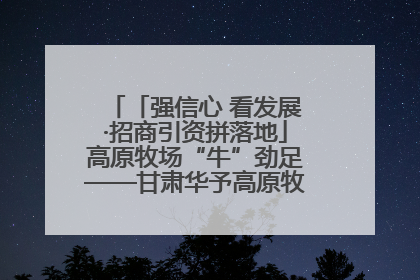 「强信心 看发展·招商引资拼落地」高原牧场“牛”劲足——甘肃华予高原牧场高标准奶牛肉牛养殖项目一线见闻
