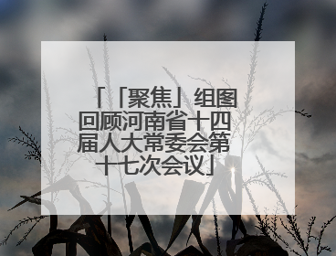 「聚焦」组图回顾河南省十四届人大常委会第十七次会议