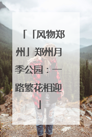 「风物郑州」郑州月季公园：一路繁花相迎