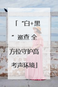 “白+黑”巡查 全方位守护高考声环境