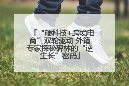 “硬科技+跨境电商”双轮驱动 外籍专家探秘碑林的“逆生长”密码