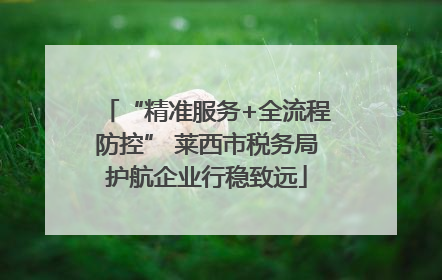 “精准服务+全流程防控” 莱西市税务局护航企业行稳致远