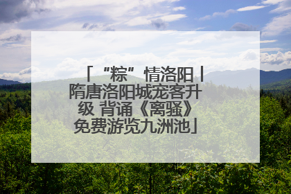 “粽”情洛阳丨隋唐洛阳城宠客升级 背诵《离骚》免费游览九洲池