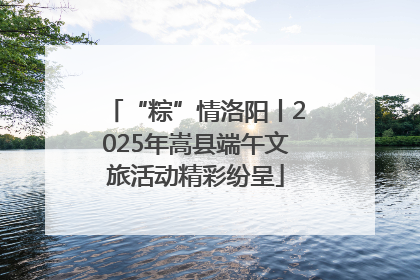“粽”情洛阳丨2025年嵩县端午文旅活动精彩纷呈
