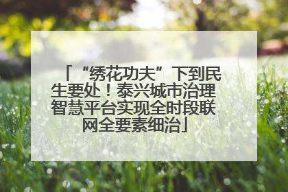 “绣花功夫”下到民生要处！泰兴城市治理智慧平台实现全时段联网全要素细治