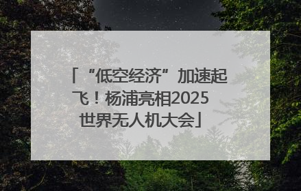 “低空经济”加速起飞！杨浦亮相2025世界无人机大会
