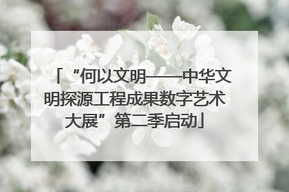 “何以文明——中华文明探源工程成果数字艺术大展”第二季启动
