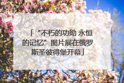 “不朽的功勋 永恒的记忆”图片展在俄罗斯圣彼得堡开幕