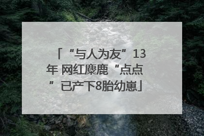 “与人为友”13年 网红麋鹿“点点”已产下8胎幼崽