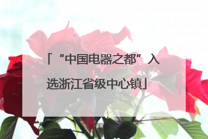 “中国电器之都”入选浙江省级中心镇
