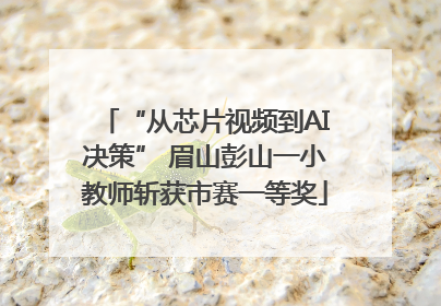 “从芯片视频到AI决策” 眉山彭山一小教师斩获市赛一等奖