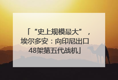 “史上规模最大”，埃尔多安：向印尼出口48架第五代战机