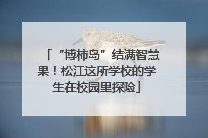 “博柿岛”结满智慧果！松江这所学校的学生在校园里探险