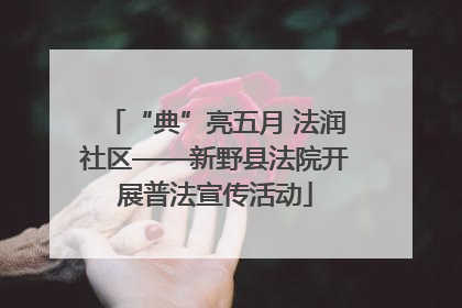 “典”亮五月 法润社区——新野县法院开展普法宣传活动