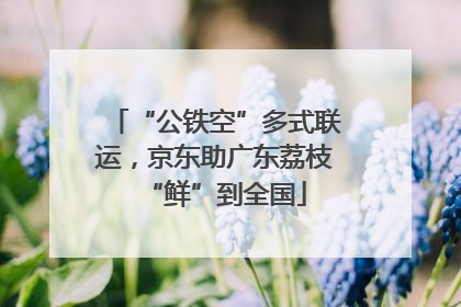 “公铁空”多式联运，京东助广东荔枝“鲜”到全国