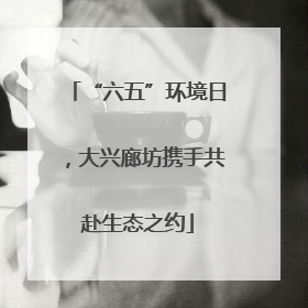 “六五”环境日，大兴廊坊携手共赴生态之约