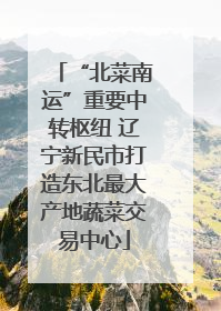 “北菜南运”重要中转枢纽 辽宁新民市打造东北最大产地蔬菜交易中心