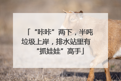“咔咔”两下，半吨垃圾上岸，排水站里有“抓娃娃”高手