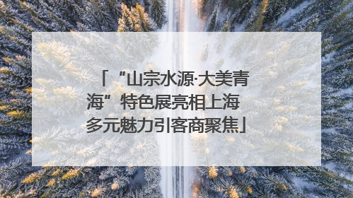 “山宗水源·大美青海”特色展亮相上海 多元魅力引客商聚焦
