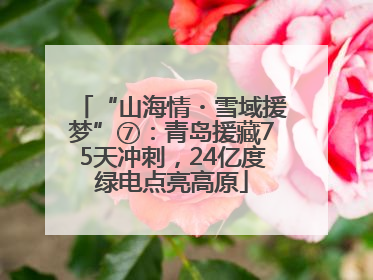 “山海情・雪域援梦”⑦：青岛援藏75天冲刺，24亿度绿电点亮高原