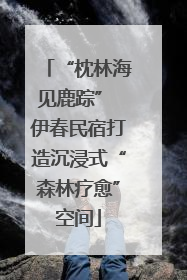 “枕林海见鹿踪” 伊春民宿打造沉浸式“森林疗愈”空间