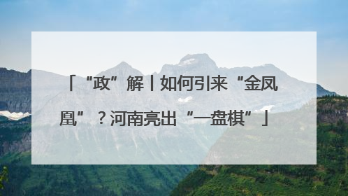 “政”解丨如何引来“金凤凰”？河南亮出“一盘棋”