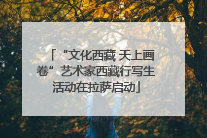 “文化西藏 天上画卷”艺术家西藏行写生活动在拉萨启动