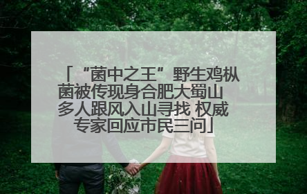 “菌中之王”野生鸡枞菌被传现身合肥大蜀山 多人跟风入山寻找 权威专家回应市民三问