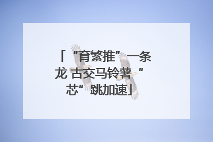 “育繁推”一条龙 古交马铃薯“芯”跳加速