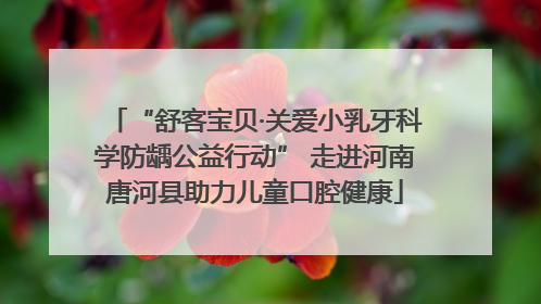 “舒客宝贝·关爱小乳牙科学防龋公益行动” 走进河南唐河县助力儿童口腔健康