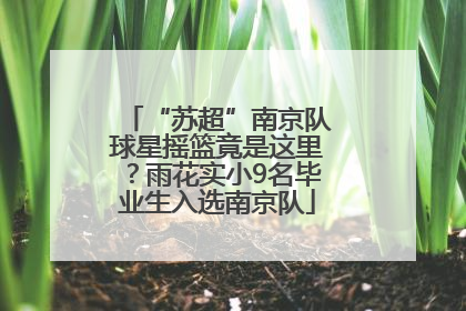“苏超”南京队球星摇篮竟是这里？雨花实小9名毕业生入选南京队