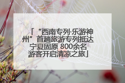 “西南专列·乐游神州”首趟旅游专列抵达宁夏固原 800余名游客开启清凉之旅