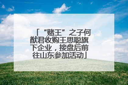 “赌王”之子何猷君收购王思聪旗下企业，接盘后前往山东参加活动