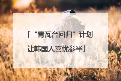 “青瓦台回归”计划让韩国人喜忧参半
