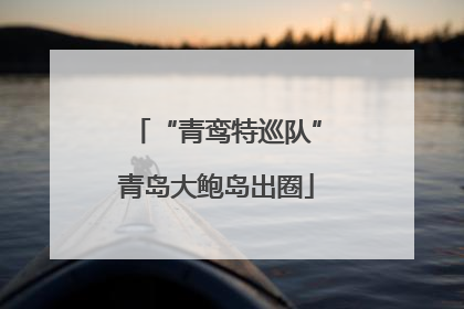 “青鸾特巡队”青岛大鲍岛出圈