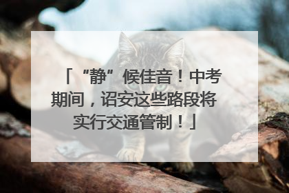 “静”候佳音！中考期间，诏安这些路段将实行交通管制！