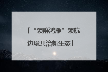 “领群鸿雁”领航边境共治新生态