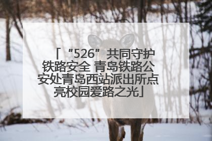 “526”共同守护铁路安全 青岛铁路公安处青岛西站派出所点亮校园爱路之光