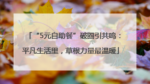 “5元自助餐”破圈引共鸣：平凡生活里，草根力量最温暖