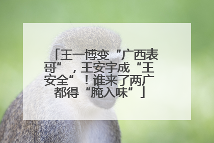 王一博变“广西表哥”，王安宇成“王安全”！谁来了两广都得“腌入味”