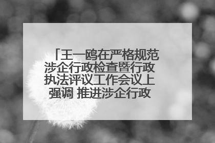 王一鸥在严格规范涉企行政检查暨行政执法评议工作会议上强调 推进涉企行政检查质效大幅提升